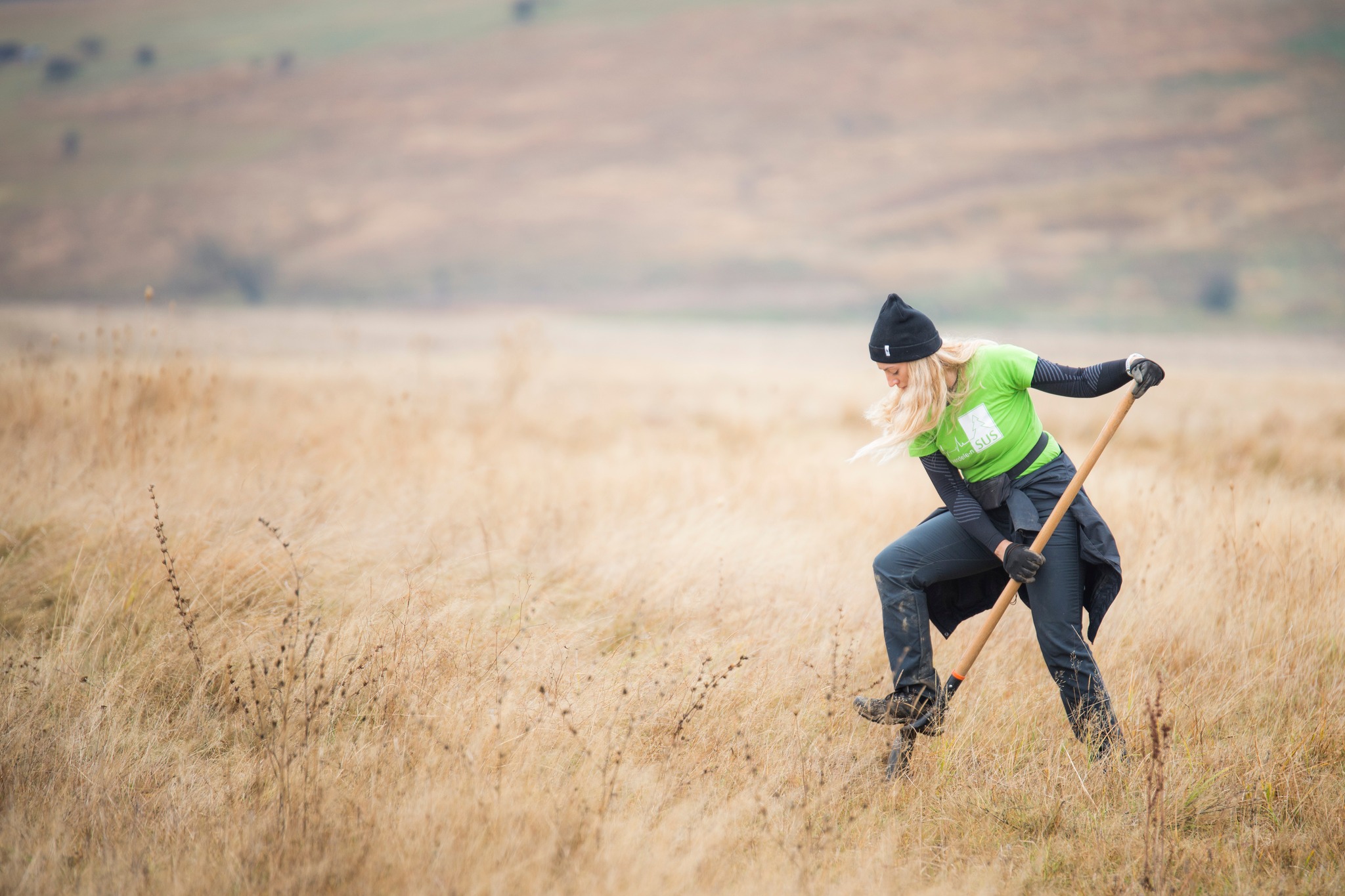 Plantare Ocna Sibiului 22
